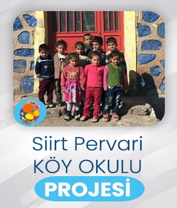 Siirt Pervari Köy Okulu Projesi